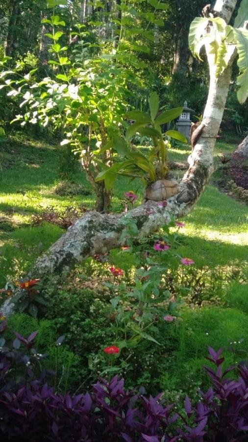 Balian Bliss Retreat Resort - Adults Only Extérieur photo
