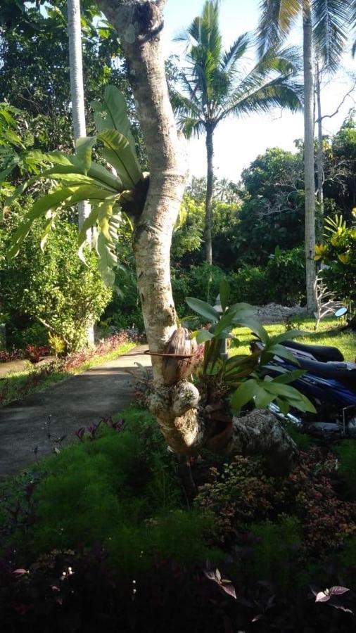 Balian Bliss Retreat Resort - Adults Only Extérieur photo