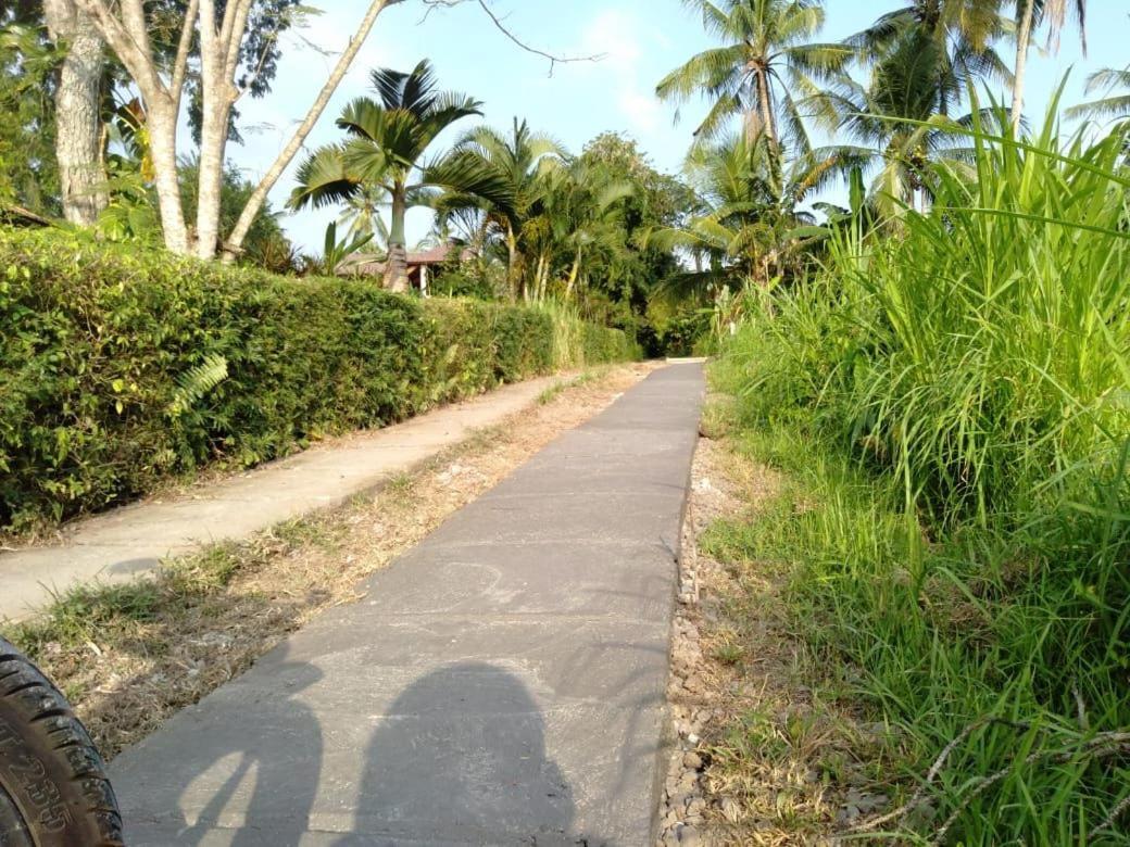 Balian Bliss Retreat Resort - Adults Only Extérieur photo